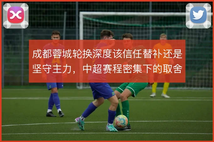 成都蓉城轮换深度该信任替补还是坚守主力，中超赛程密集下的取舍