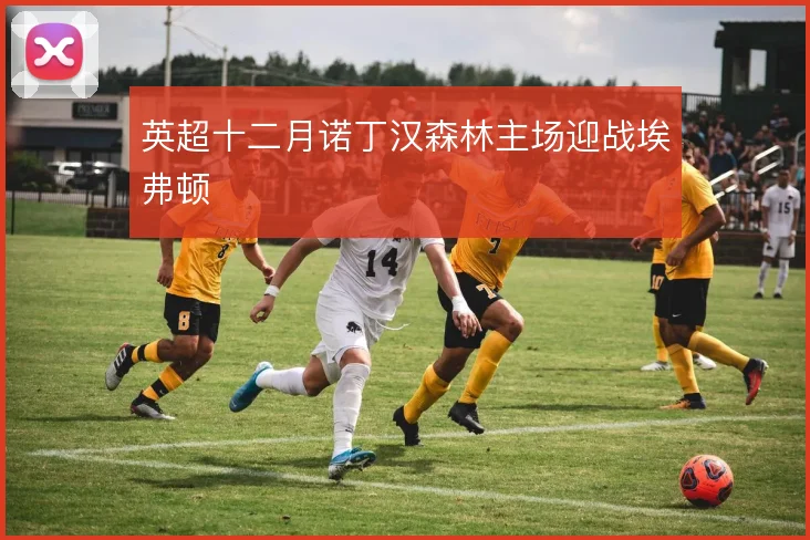 英超十二月诺丁汉森林主场迎战埃弗顿