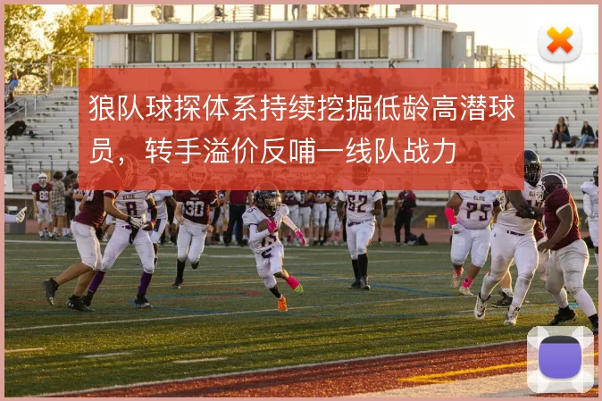 狼队球探体系持续挖掘低龄高潜球员,转手溢价反哺一线队战力
