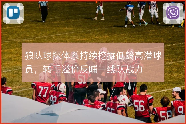 狼队球探体系持续挖掘低龄高潜球员，转手溢价反哺一线队战力